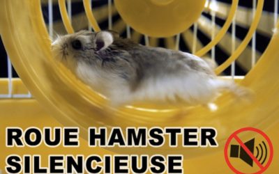 7 meilleures roues hamster silencieuses